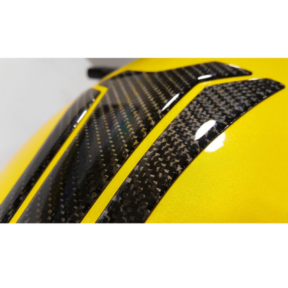 Uniracing adhesivo protector moto K46020